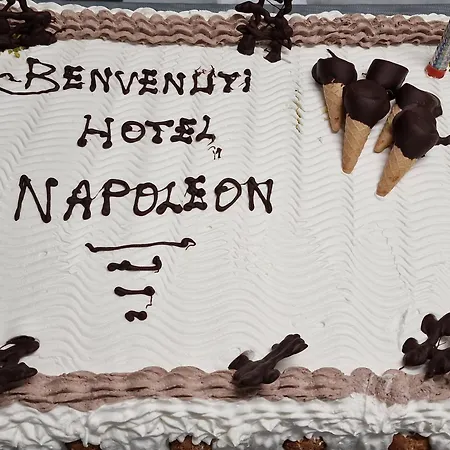 Отель Napoleon 3*